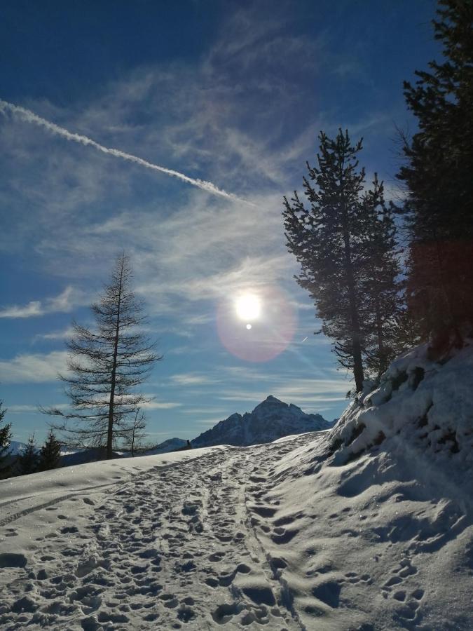 Appartement Waldzauber Medraz Bagian luar foto